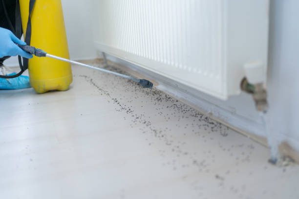 Best Pest Prevention Services  in Long Creek, IL